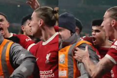 Ο Τσιμίκας «τρελάθηκε» με την αδιανότητη ανατροπή στο φινάλε και ξέσπασε πάνω σε σεκιουριτά (vid)