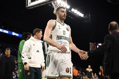 Ένταση και αποβολή για τον Νίκο Ρογκαβόπουλο στο Παρτιζάν - Παναθηναϊκός