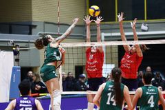 Παναθηναϊκος - Πανιώνιος: Ο «ελληνικός» ημιτελικός στο CEV Challenge Cup γυναικών!