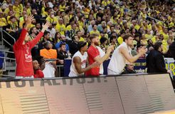 To καταπληκτικό κορεό των οπαδών της Φενέρμπαχτσε