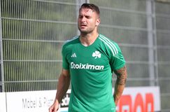 Παναθηναϊκός: Ο «undercover» ατζέντης στο Ρόρμπαχ, το χτυποκάρδι με τον Σένκεφελντ και αυτός που «απασχολεί» από την ΤΣΣΚΑ 1948