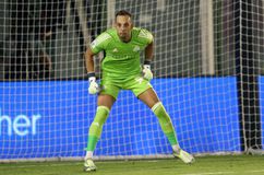 Ο Μπάμπης Τσιμπίδας για τις αιτίες του ντεφορμαρίσματος του Μπρινιόλι και για το ερώτημα εν όψει Βιγιαρεάλ (vid)