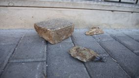 Οπαδικό επεισόδιο στον Γέρακα – Στο νοσοκομείο δύο νεαροί