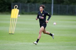 ΑΕΚ: Ξανά εκτός προπόνησης ο Ρότα