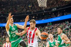 Η ανακοίνωση της χρονιάς: Η ιταλική Βίρτους ανακοίνωσε τον... Αχιλλέα Πολονάρα με Όμηρο: «Μῆνιν ἄειδε, θεά...»