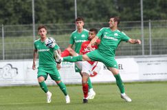 Ρούμπεν Πέρεθ: «Να φέρουμε τον Παναθηναϊκό στους ομίλους»