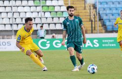 Επιστροφή Λαγιούς στον Λεβαδειακό