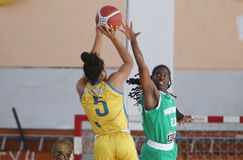 Η ΕΟΚ ανακοίνωσε την ώρα του τελικού στο Κύπελλο Μπάσκετ Γυναικών