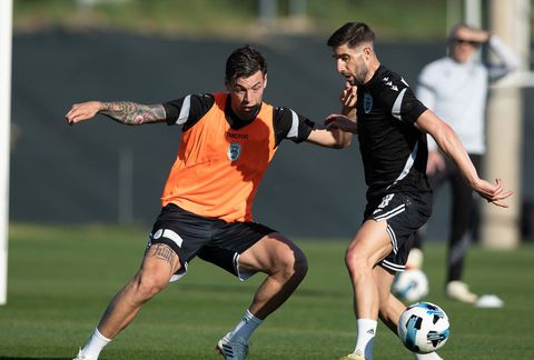 Με τα γνωστά προβλήματα και χωρίς Λουτσέσκου η επιστροφή του ΠΑΟΚ στις προπονήσεις