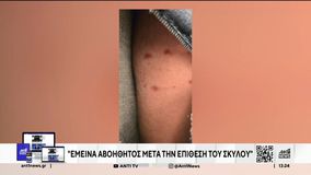 Καταγγελία στην Αστυνομία, για επίθεση από τον σκύλο της οικογένειας Τσιτσιπά