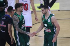 Η ατάκα του Παπαπέτρου στον πάγκο για την Τσαρούχα: «Μην της μιλάτε»