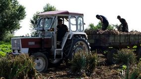 ΟΠΕΚΕΠΕ: Αγρότης με crypto και υβριδικό Mercedes στην «τσιμπίδα» της Αρχής για το Ξέπλυμα Μαύρου Χρήματος