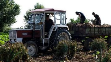 ΟΠΕΚΕΠΕ: Αγρότης με crypto και υβριδικό Mercedes στην «τσιμπίδα» της Αρχής για το Ξέπλυμα Μαύρου Χρήματος