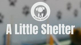 Κοινωνική πρωτοβουλία από τον Παναθηναϊκό: Το «A Little Shelter» νέος χορηγός φανέλας