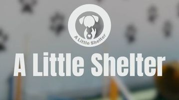 Κοινωνική πρωτοβουλία από τον Παναθηναϊκό: Το «A Little Shelter» νέος χορηγός φανέλας