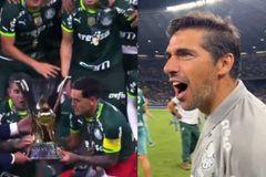 Πρωταθλήτρια Βραζιλίας η Παλμέιρας του Φερέιρα - Ιστορικός υποβιβασμός για τη Σάντος