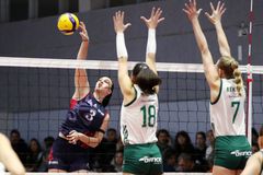 Παναθηναϊκός - ΖΑΟΝ το ζευγάρι των τελικών της Volley League γυναικών!