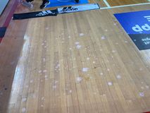 O Ολυμπιακός κατήγγειλε φραστική επίθεση οπαδού του Παναθηναϊκού από τα court seats στον Μπαρτζώκα - Επίθεση με γιαούρτια στην αποστολή