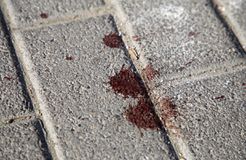 «Γα@@στε τον χουλιγκανισμό και αποβάλετε τη Ντινάμο Ζάγκρεμπ από την Ευρώπη»: Η σκληρή τοποθέτηση της Καλλιθέας για τη δολοφονία του Μιχάλη