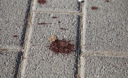 ΠΑΟΚ για τον οπαδό της ΑΕΚ: «Ας είναι οι τελευταίες σταγόνες δακρύων και αίματος που πνίγουν το κανονικό ποδόσφαιρο»