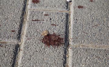 ΠΑΟΚ για τον οπαδό της ΑΕΚ: «Ας είναι οι τελευταίες σταγόνες δακρύων και αίματος που πνίγουν το κανονικό ποδόσφαιρο»