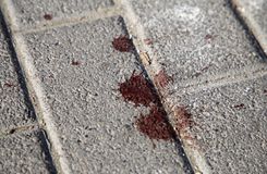 Τα σοκαριστικά μηνύματα που αντάλλαξαν στα social media Έλληνες και ξένοι χούλιγκανς λίγο πριν τη δολοφονία του Μιχάλη Κατσουρή (pics)