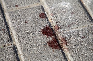 ΣΥΡΙΖΑ για τα επεισόδια στη Νέα Φιλαδέλφεια: «Απαιτούνται σαφείς απαντήσεις για το επιχειρησιακό φιάσκο»