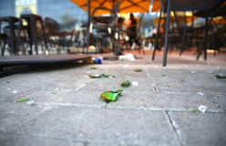 Πρώτο θέμα στον ξένο Τύπο η δολοφονική επίθεση στη Νέα Φιλαδέλφεια: «Οπαδός μαχαιρώθηκε μέχρι θανάτου»