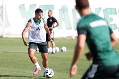 Παναθηναϊκός: Επιστροφή στις προπονήσεις, δίχως τους διεθνείς