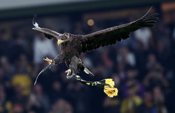 Νέα δικαστική απόφαση για τον αετό της ΑΕΚ!