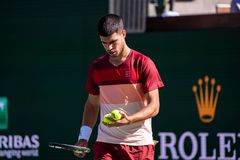 Το νέο τατουάζ του Αλκαράθ με ημερομηνία - μυστήριο