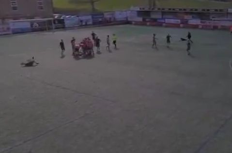 Απίθανο περιστατικό: Ποδοσφαιριστής έδειρε διαιτητή, ο γενικός γραμματέας τον δικαιολόγησε και η ομάδα τον απέλυσε