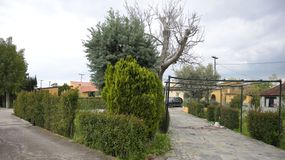 Η αδερφή του δολοφόνου στην Εύβοια ήταν εκείνη που έβγαλε το σπίτι σε πλειστηριασμό - Της χρωστούσε χρήματα