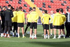 Η ξεκάθαρη τακτική του Νίκολιτς για το Βαγιέκας και η φράση... κλειδί