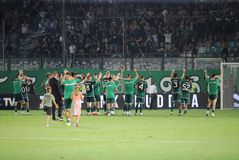 Panathinaikos στο χορτάρι, Panathinaikos και στην εξέδρα