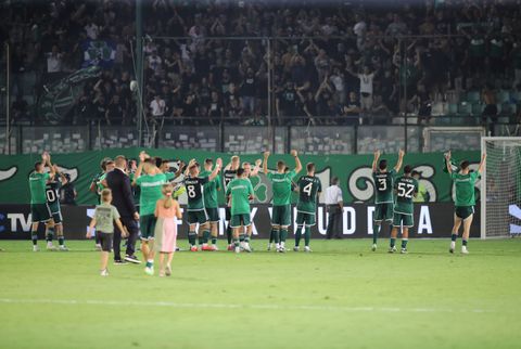 Panathinaikos στο χορτάρι, Panathinaikos και στην εξέδρα