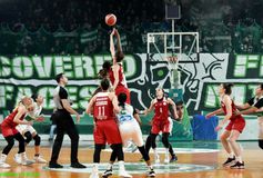 Ολοταχώς για ντέρμπι «αιωνίων» στα προημιτελικά του Κυπέλλου Ελλάδας Γυναικών