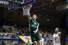 Οι καλύτερες στιγμές από τη νίκη του Παναθηναϊκού επί της Κλουζ