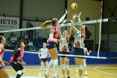 Νίκες για ΑΕΚ και Θέτιδα στη Volley League γυναικών