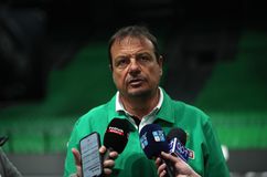 Αταμάν: «Δεν νομίζω πως ο Γκριγκόνις θα παίξει στα playoffs - Την επόμενη εβδομάδα θα δω την κατάσταση του Λεσόρ»