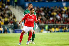 Παυλίδης vs Γιόκερες: Τι δείχνουν οι αριθμοί πριν το ντέρμπι Μπενφίκα - Σπόρτινγκ που θα κρίνει τον τίτλο