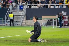 Η κατάθεση ψυχής του Μπότη και η κίνηση με νόημα του Καλογερόπουλου μετά τη νίκη της Ελλάδας (vids)