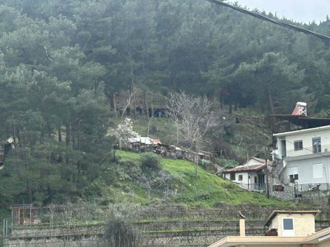 Οπαδοί του ΟΦΗ πάνω στο βουνό έξω από το γήπεδο του Λεβαδειακού (gallery & vid)