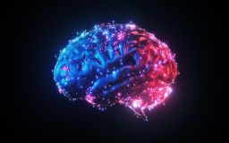 Πώς να Βελτιώσεις την Υγεία του Εγκεφάλου σου: Συμβουλές από Ειδικούς