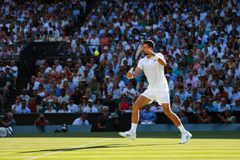 Ο θρυλικός Ρώσος επιτέθηκε σφοδρά στον Νόβακ Τζόκοβιτς, κατηγορώντας τον ότι σκέφτεται μόνο τα χρήματα