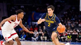 Τσόβιτς: «Πιέζουν οι Έλληνες για τον Στογιάκοβιτς, είμαστε σε επαφή με τον Πέτζα»