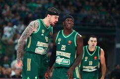 Κυκλοφορεί η νέα φανέλα του Παναθηναϊκού - Πότε και από πού θα μπορούν να την αγοράσουν οι φίλοι της ομάδας