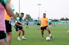 Παναθηναϊκός: Ο Βιλένα πέρασε... pasillo στην πρώτη - Τι ισχύει με την ετοιμότητά του