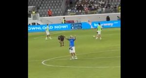 Αποθέωση για τον Νταβίντ Λουίζ από τους φίλους της Πάφου (vid)