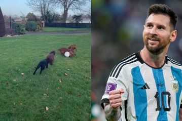 Το viral βίντεο με το σκυλί που ντριμπλάρει αλά Λιονέλ Μέσι